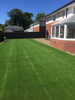 Artificial Grass