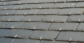 Roofing Paisley